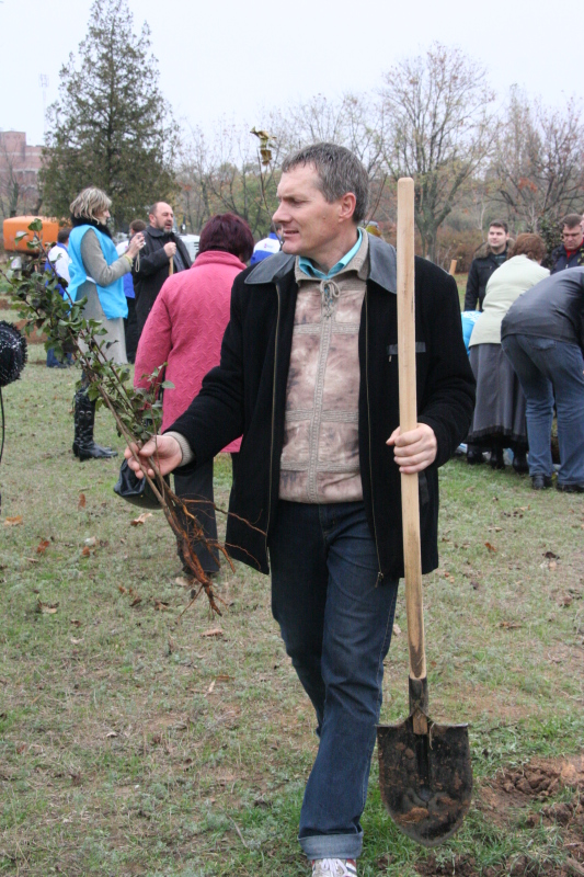 Николаевские \"регионалы\" высадили аллею из 300 деревьев -  в честь 12-летия своей партии