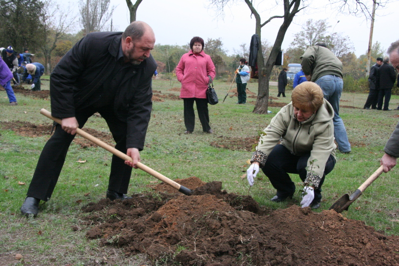 Николаевские \"регионалы\" высадили аллею из 300 деревьев -  в честь 12-летия своей партии
